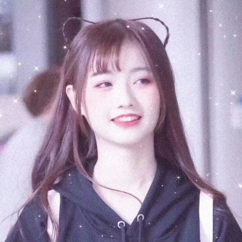 特洛伊艾迪