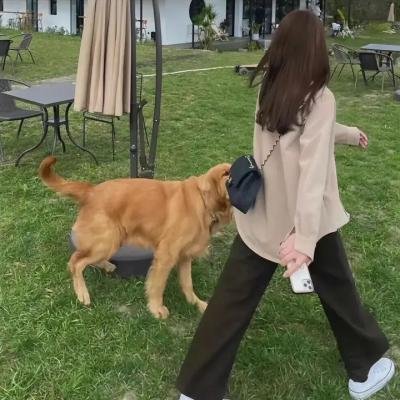 当两个世界碰撞时
